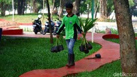 Pohon hias ditanam agar taman bertambah asri.