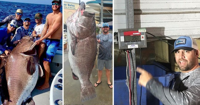 Berusia Sampai 200 Tahun, Ini 5 Ikan Tertua di Dunia