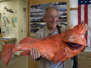 Berusia Sampai 200 Tahun, Ini 5 Ikan Tertua di Dunia