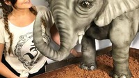 Molly kini juga kerap melatih banyak orang yang tertarik membuat kue. Khususnya untuk mereka yang ingin tampilan kue 3D memukau. Foto: Instagram mollymakescakes