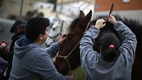 Sebelum melakukan ritual menerobos kobaran api tersebut, sejumlah persiapan pun dilakukan kepada para kuda-kuda itu. Salah satunya adalah mengepang rambut yang ada di sekitar wajah kuda. Selain itu, ekor kuda pun akan dilindungi dengan warna bendera Spanyol.