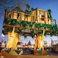 Jika biasanya kamu hanya melihat rumah-rumah pohon di dalam cerita atau film-film, maka kali ini kamu bisa merasakannya sendiri. Virgin Holidays, salah satu perusahaan yang melayani pemesanan hotel, penyewaan mobil, kapal pesiar, hingga paket tour, membangun rumah pohon dengan ketinggian di atas 10 meter. Foto: dok. designboom/virgin holidays