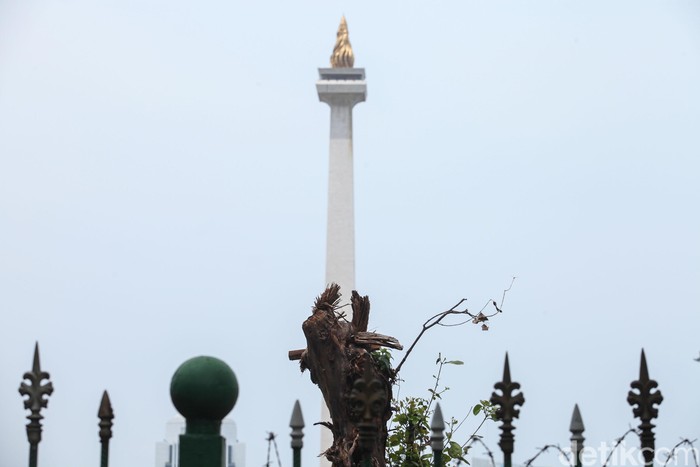 Ratusan pohon di sisi selatan Monas ditebang imbas proyek revitalisasi. Berikut penampakan foto-foto terkininya.