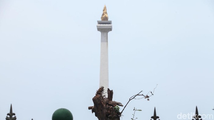 Ratusan pohon di sisi selatan Monas ditebang imbas proyek revitalisasi. Berikut penampakan foto-foto terkininya.