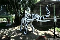Wisatawan di Solo Protes: Patung Gajah Kok Kayak Zebra?