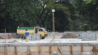 Ratusan pohon yang ditebang tersebut imbas proyek revitalisasi.