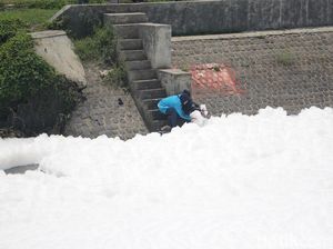 Sungai di Sidoarjo Dipenuhi Busa, Dinas Lingkungan Hidup Ambil Sample Air