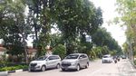 Potret Jalanan Kota Surabaya yang Asri dan Rimbun