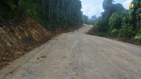 Jalur Lingkar Raja Ampat sepanjang 342 km terdiri dari 2 ruas, yakni ruas Lingkar Luar Raja Ampat sepanjang 314,39 Km dan ruas Lingkar Waisai sepanjang 27,61 Km.