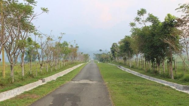 Padang rumput di Sumbar