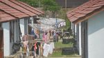 Yuk, Lihat Rumah Khusus Nelayan di Sumatera Barat