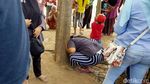 Ragam Tingkah Warga Saat Datangi Lokasi Pohon Menangis di Jember