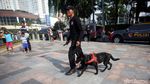 Aksi Anjing Pelacak Pamer Kemampuan Deteksi Bom di CFD
