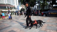 Seorang petugas kepolisian bersama seekor anjing pelacak dari Unit K-9 Polri menjadi bagian dalam simulasi deteksi bom yang digelar di kawasan CFD Jakarta.