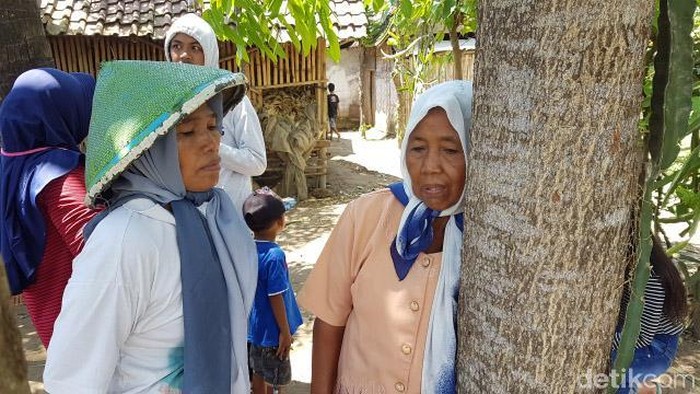 Warga masih terus datang ke lokasi pohon menangis di Jember. Tak cuma ingin buktikan apakah pohon itu mengeluarkan suara, warga pun ramai-ramai selfie di sana.