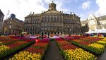 Foto: Cantiknya Warna-warni Bunga Tulip Bermekaran di Belanda