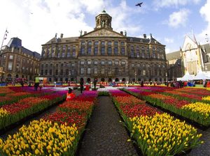 Belanda Sudah Buka Kembali untuk Turis