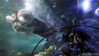 Atraksi barongsai tersebut langsung menjadi sasaran foto para pengunjung di Sea World, Ancol (Pradita/detikcom)