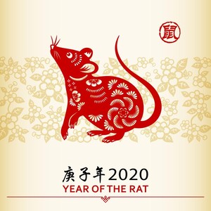 Imlek 2020, Ramalan Shio Tikus di Tahun Tikus Logam