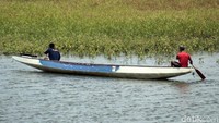 Air kembali menutupi permukaan danau, meski belum pulih seutuhnya. Masih ada lahan yang ditumbuhi ilalang.