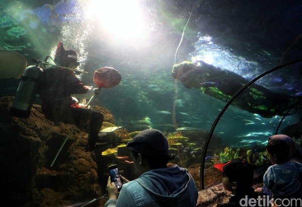 Sejumlah pengunjung antusias menyaksikan atraksi barongsai dalam air yang ditampilkan di Sea World, Ancol (Pradita/detikcom) Sejumlah pengunjung antusias menyaksikan atraksi barongsai dalam air yang ditampilkan di Sea World, Ancol (Pradita/detikcom)