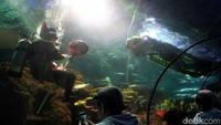 Sejumlah pengunjung antusias menyaksikan atraksi barongsai dalam air yang ditampilkan di Sea World, Ancol (Pradita/detikcom)