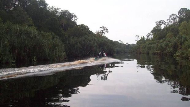 Taman Nasional Berbak-Sembilang Taman Nasional Berbak-Sembilang