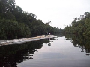 Pulau Betet di Sumsel Tak Lenyap, Hanya Abrasi di Muara Sungai