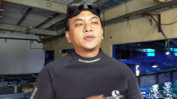 Kisah Penyelam soal Tantangan Tampilkan Barongsai Dalam Air