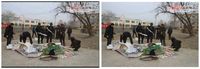 Cek Kebenaran Foto Viral soal Al Qur'an Dibakar di Xinjiang