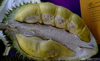 Di Pekalongan Ada Durian 'Nenek Moyang' dari Pohon Usia Ratusan Tahun