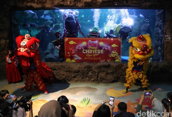 Atraksi barongsai tersebut dilakukan di dalam ruangan yang berada di Sea World. Menariknya, atraksi barongsai tersebut juga dilakukan di dalam akuarium raksasa yang berada di kawasan rekreasi tersebut (Pradita/detikcom) Atraksi barongsai tersebut dilakukan di dalam ruangan yang berada di Sea World. Menariknya, atraksi barongsai tersebut juga dilakukan di dalam akuarium raksasa yang berada di kawasan rekreasi tersebut (Pradita/detikcom)