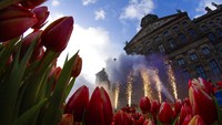 Dilansir dari CNN Indonesia, Hari Tulip Nasional menandai pembukaan musim bunga tulip untuk industri bunga Belanda.