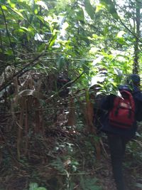 Ditemani 'Gadis Baju Merah', Nenek Renta Lewati Hutan Terjal dan Tebing
