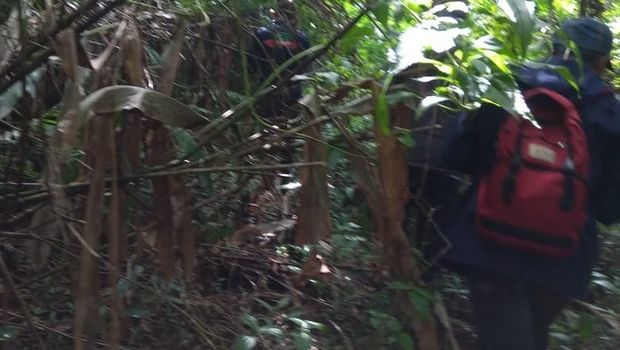 Hutan Nenek Hilang di Cianjur