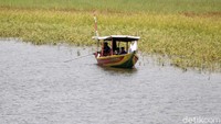 Beberapa petak yang awalnya tampak seperti lapangan bola, mulai kembali dilintasi oleh perahu yang berlalu lalang.