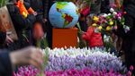 Foto: Cantiknya Warna-warni Bunga Tulip Bermekaran di Belanda