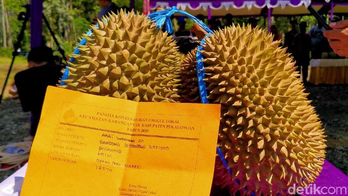 Durian Nenek Moyang Pekalongan