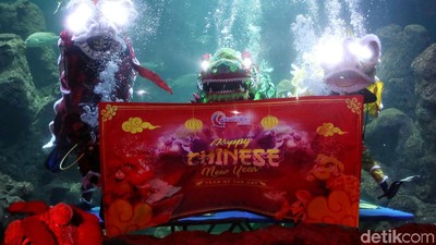 Foto: Tahun Baru Imlek, Ada Atraksi Barongsai di Bawah Air