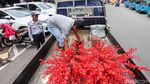 Laris Manis Penjualan Pohon Mei Hua yang Jelita Jelang Imlek
