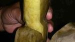 Hii Jijik! Ada Cicak hingga Kunci Rumah di Makanan Ini
