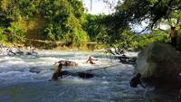 Jembatan yang menjadi akses perkebunan warga di daerah tersebut terputus pada Minggu (19/1) lalu akibat kelebihan beban dan derasnya arus sungai tersebut.