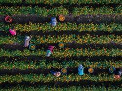 Deretan Foto Keren yang Diambil Pakai Drone