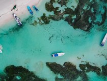 Kapal Pesiar Kandas, Terumbu Karang Fiji Terancam
