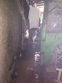 Genangan di Harapan Jaya Bekasi Pagi Ini
