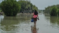 Ia mengungkapkan, tidak ada penanganan berarti dari pemerintah daerah setempat. Bahkan, upaya evakuasi juga tak pernah dilakukan. Akibatnya, selain ratusan rumah, ada juga dua masjid dan sebuah sekolah yang nyaris rusak lantaran setiap hari terendam air laut.
