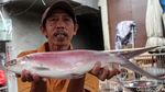 Berburu Ikan Bandeng di Kawasan Pecinan Jakarta