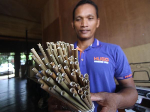 Perkenalkan, Ini Sedotan Ramah Lingkungan dari Tumbuhan Rawa