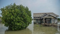 Kawasan pemukiman di utara Bekasi itu sebelumnya dihuni ratusan kepala keluarga (KK). Namun, sejak 12 tahun silam rumah-rumah tersebut tenggelam akibat abrasi. ANTARA FOTO/Adeng Bustomi  