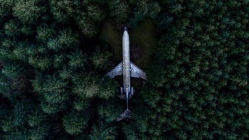 Forest Landing. Foto: via worldtravelling.com